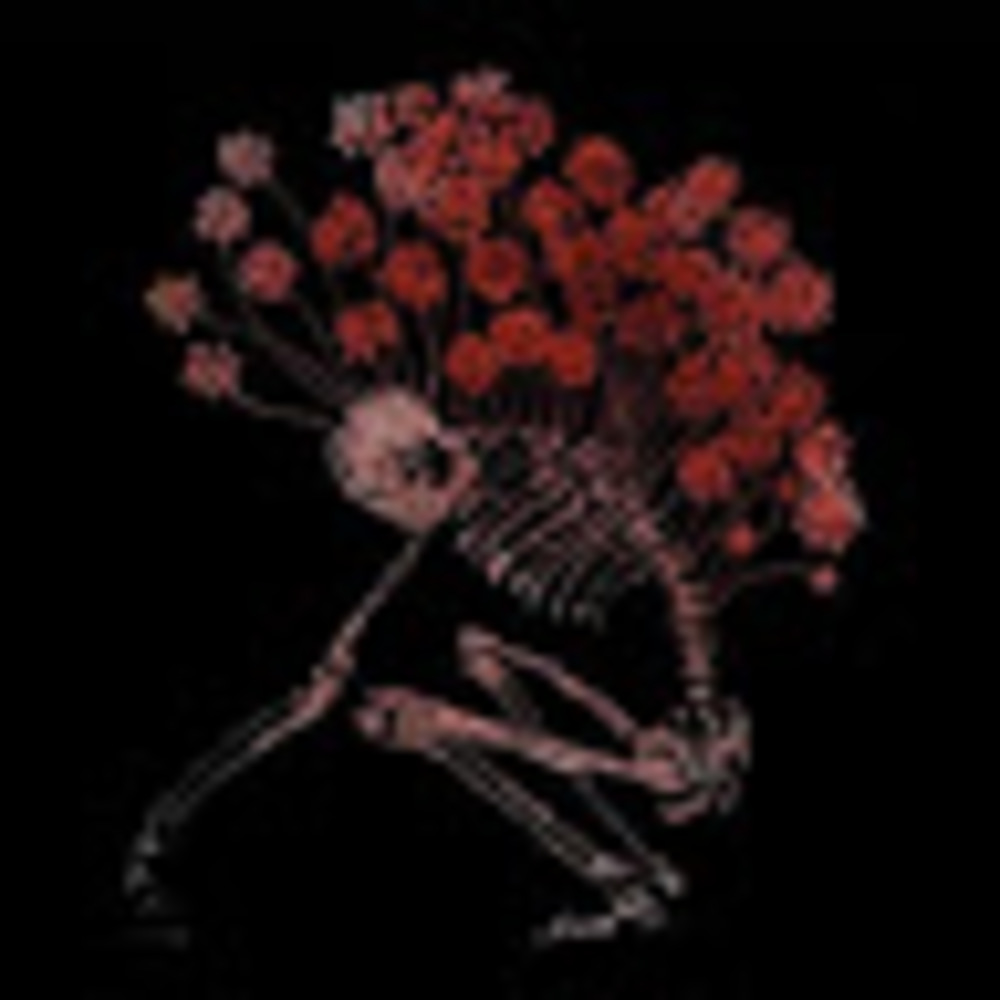 Meet your Posher, Tryniti